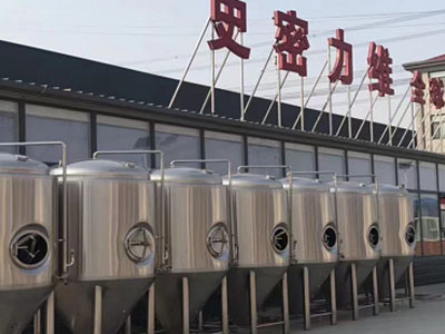 南丹精酿啤酒设备厂—市场规模与跨界新需求